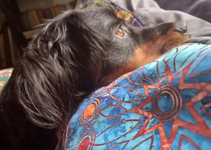 D'hote Homestay Agde